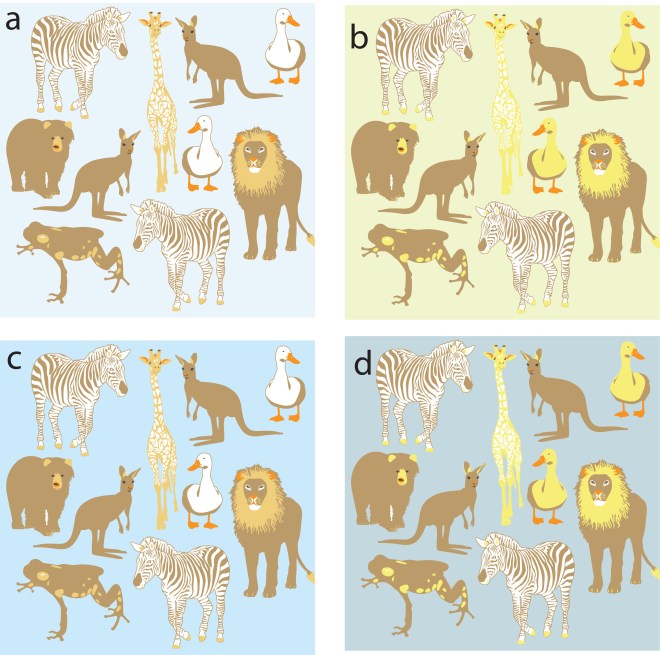 color combinations for children's animal stationary